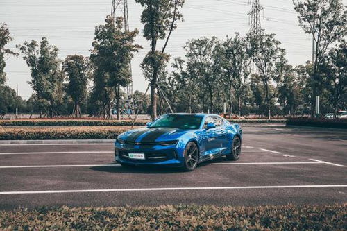 租車平臺條件 租車平臺合同