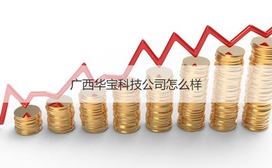 廣西華寶科技公司概況與計(jì)算機(jī)網(wǎng)絡(luò)科技領(lǐng)域發(fā)展前瞻